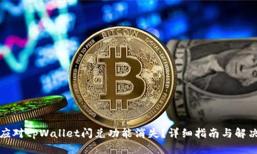 如何应对tpWallet闪兑功能消失？详细指南与解决方案