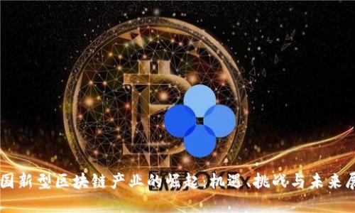 中国新型区块链产业的崛起：机遇、挑战与未来展望