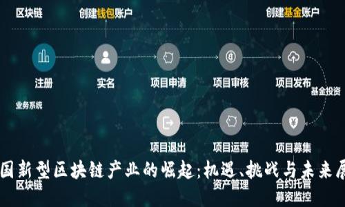 中国新型区块链产业的崛起：机遇、挑战与未来展望