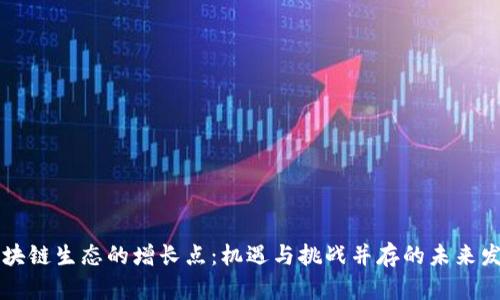 区块链生态的增长点：机遇与挑战并存的未来发展