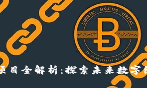 平潭区块链社区项目全解析：探索未来数字经济的潜力与挑战