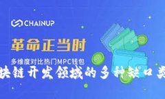 深入分析区块链开发领域的多种缺口类型及其影